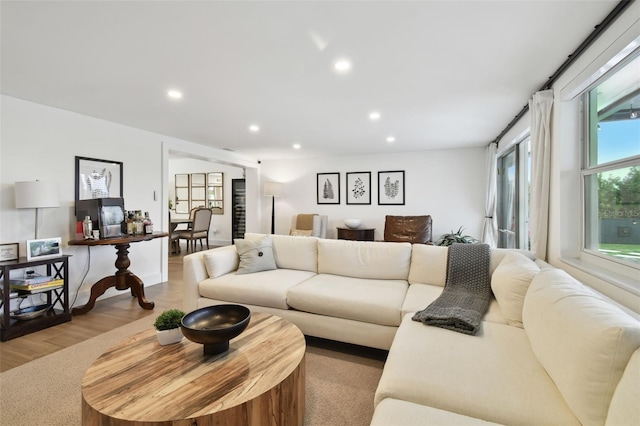 living room featuring light hardwood / wood-style flooring