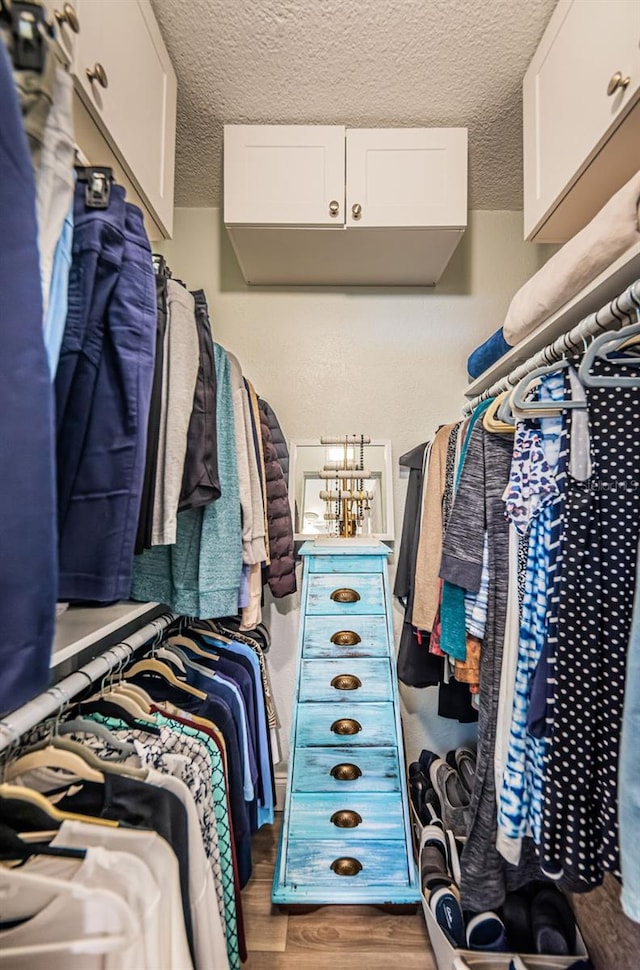 spacious closet featuring hardwood / wood-style flooring