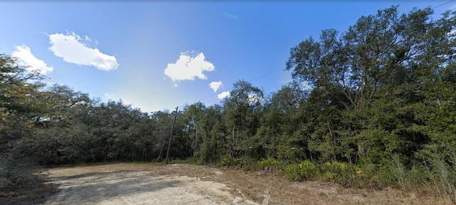 32431 Headstone St, Webster FL, 33597 land for sale