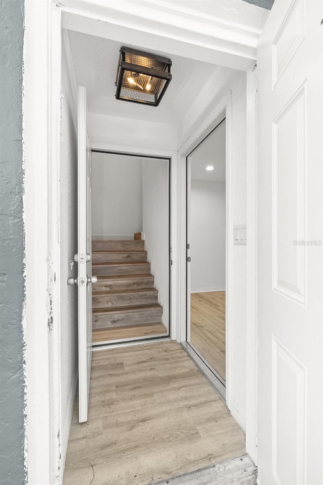 stairway featuring wood-type flooring