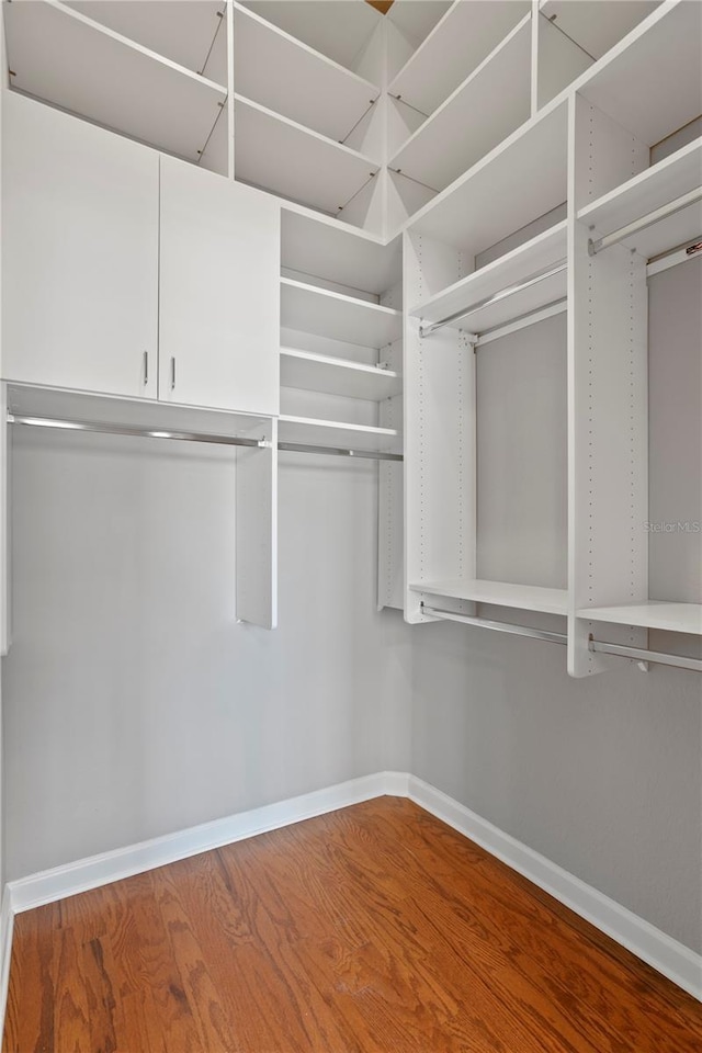 spacious closet with hardwood / wood-style floors