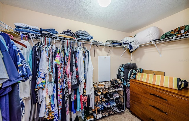 spacious closet featuring carpet floors