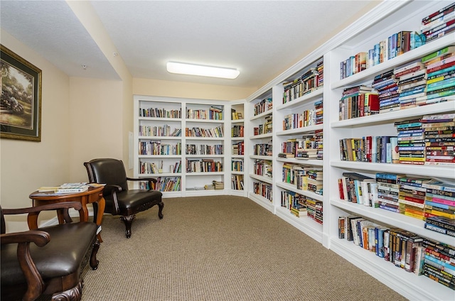 living area with light colored carpet