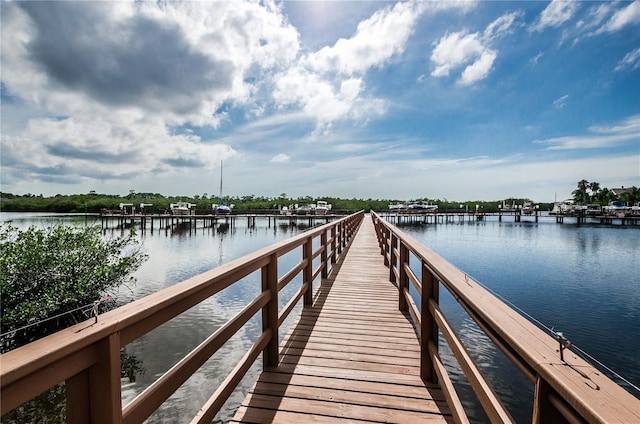 dock area featuring a water view