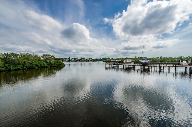 water view featuring a boat dock