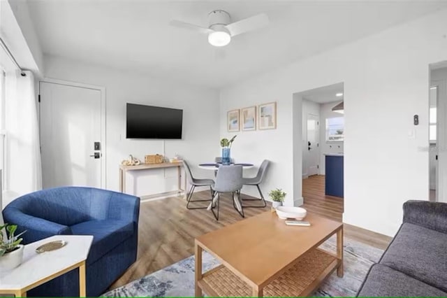 living room with wood-type flooring and ceiling fan