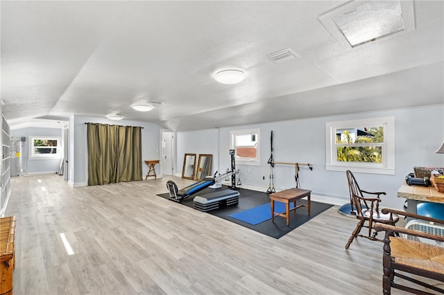 6010 17th Ave S, Gulfport, FL 33707 - exercise area with vaulted ceiling, a healthy amount of sunlight, and light hardwood / wood-style floors