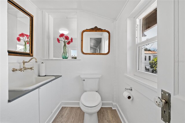 6010 17th Ave S, Gulfport, FL 33707 - bathroom with vanity, toilet, and hardwood / wood-style floors