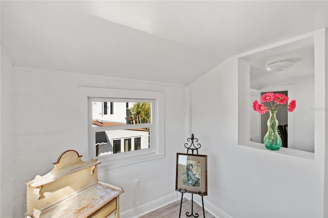 6010 17th Ave S, Gulfport, FL 33707 - sitting room featuring vaulted ceiling and hardwood / wood-style floors