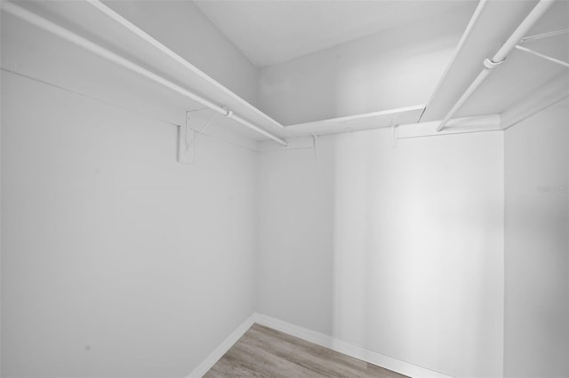 spacious closet featuring hardwood / wood-style floors