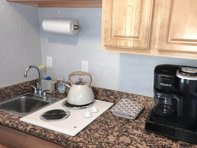 details with sink and light brown cabinets