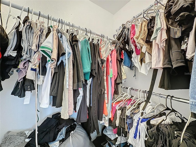3911 Auburndale Ave, Orlando, FL 32839 - view of spacious closet