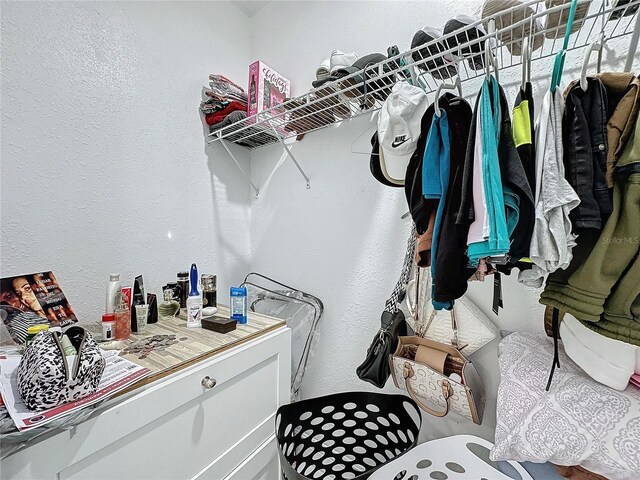 3911 Auburndale Ave, Orlando, FL 32839 - view of spacious closet
