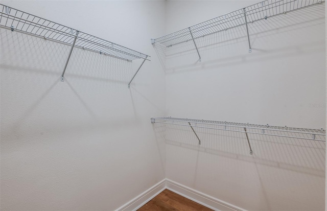 5295 SW 87th Ter, Ocala, FL 34481 - spacious closet featuring dark wood-style flooring