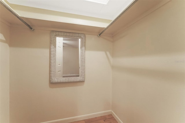 spacious closet featuring wood-type flooring