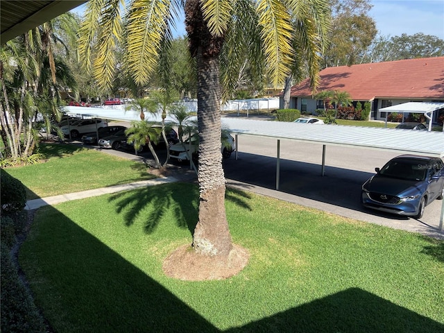 view of yard featuring a carport