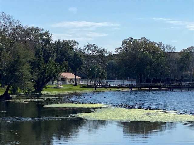 property view of water