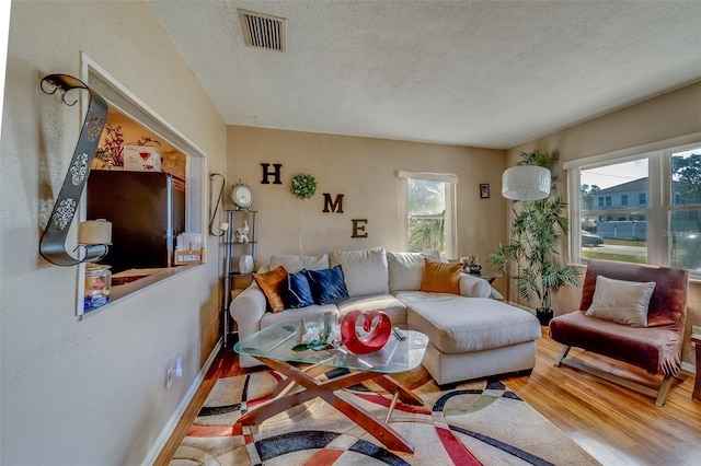 living room featuring wood-type flooring and a textured ceiling