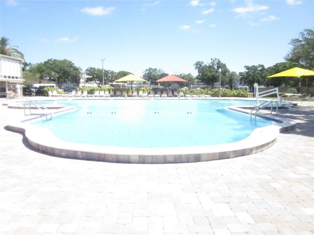 view of swimming pool with a patio area