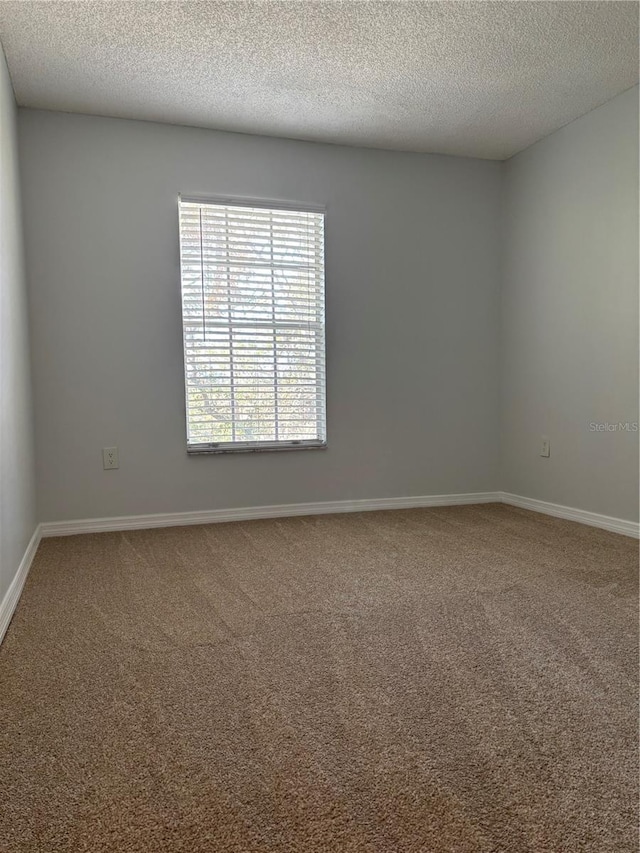 empty room with carpet floors and a textured ceiling