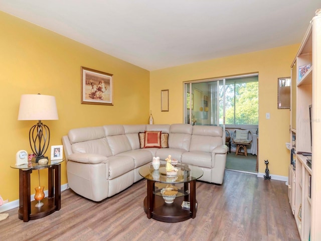 living room featuring wood-type flooring