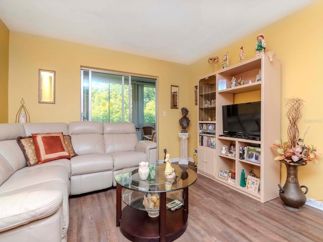 living room with wood-type flooring