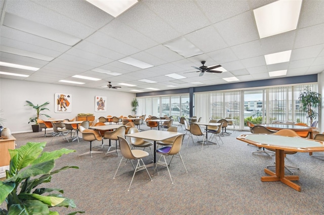 carpeted dining space with ceiling fan, a paneled ceiling, and a healthy amount of sunlight