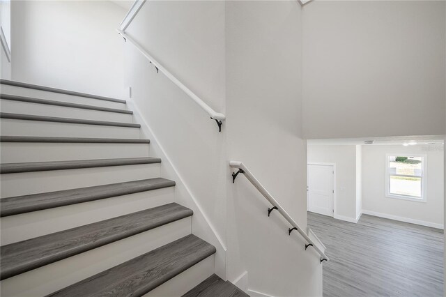 3801 Luma Dr, Holiday, FL 34691 - photo 13