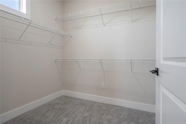 3801 Luma Dr, Holiday, FL 34691 - photo 17