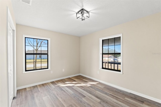 empty room with plenty of natural light, light hardwood / wood-style flooring, and a textured ceiling