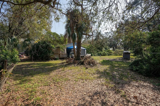 view of yard featuring a storage shed