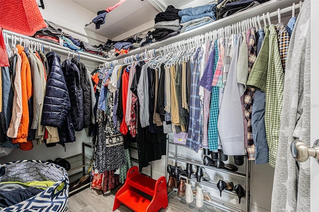 walk in closet with wood-type flooring