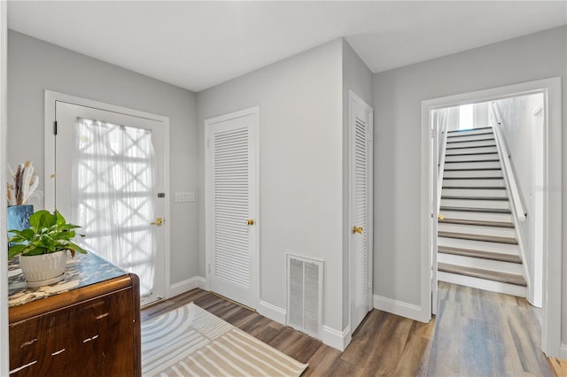 foyer entrance featuring wood-type flooring