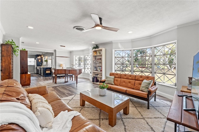 living room featuring crown molding, light hardwood / wood-style flooring, and a textured ceiling