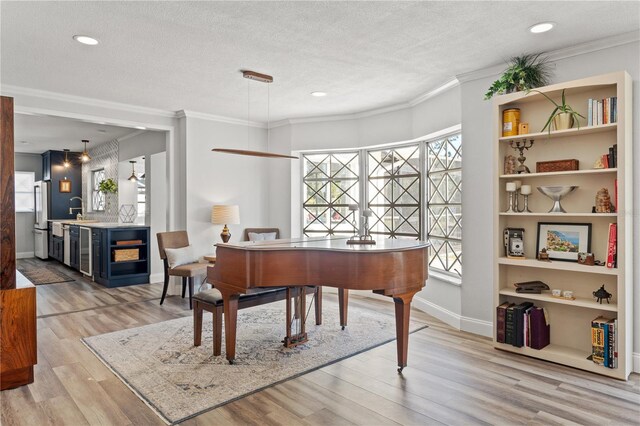 misc room with sink, crown molding, light hardwood / wood-style flooring, and a textured ceiling