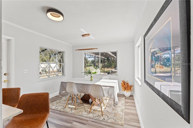 home office featuring crown molding and hardwood / wood-style floors