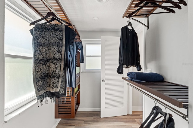 walk in closet with hardwood / wood-style floors