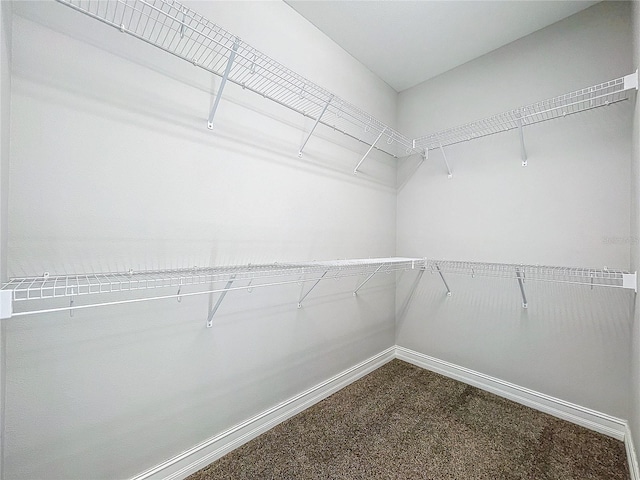 spacious closet with carpet flooring