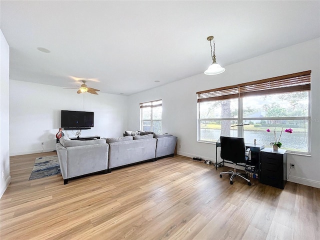 living room with ceiling fan and light hardwood / wood-style flooring