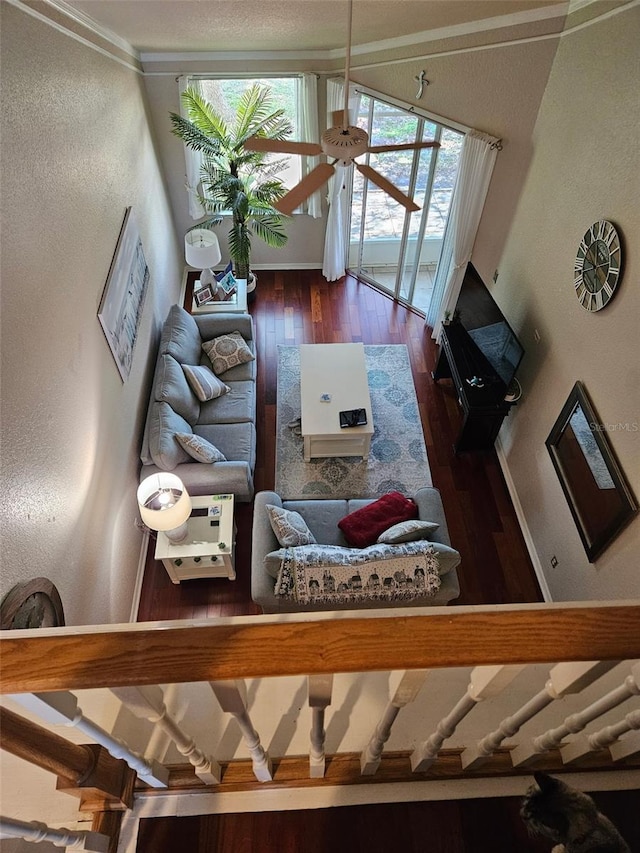 living room featuring ceiling fan and dark hardwood / wood-style floors