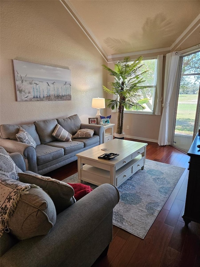 living room featuring dark hardwood / wood-style flooring and lofted ceiling