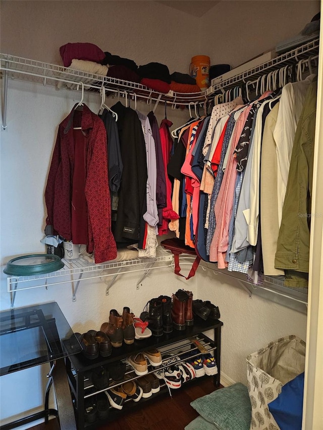 spacious closet with hardwood / wood-style floors