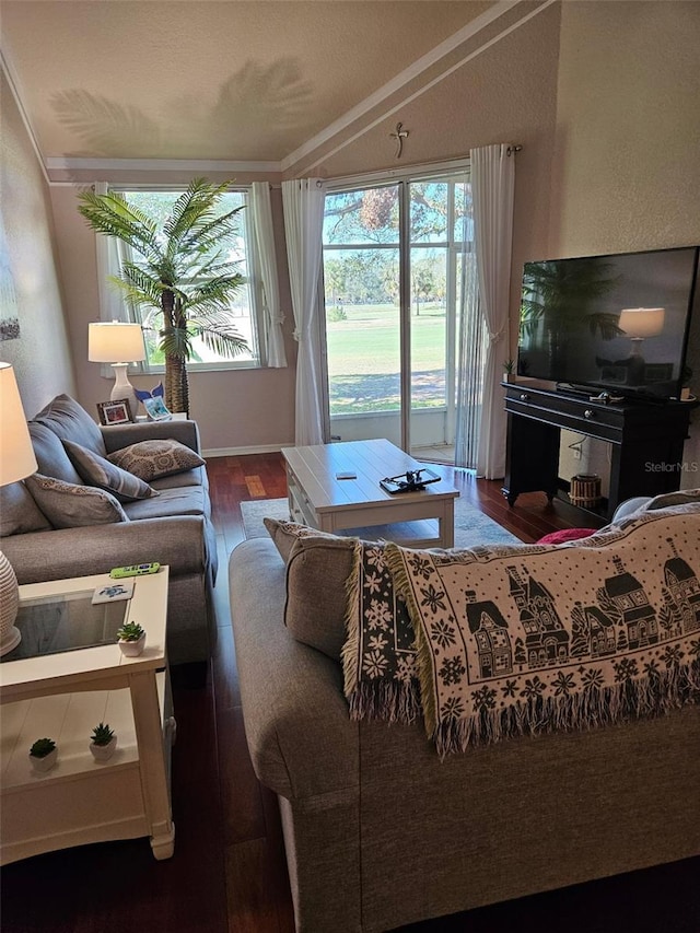 living room featuring dark wood-type flooring and vaulted ceiling