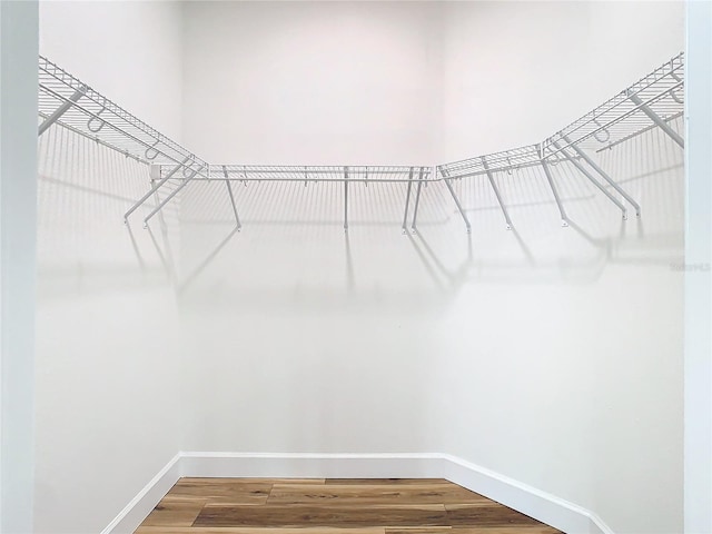 spacious closet featuring wood-type flooring