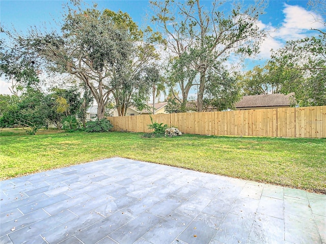 view of yard featuring a patio area