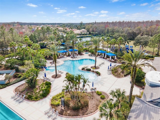 view of pool with a patio