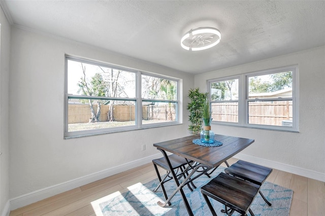 dining space with a textured ceiling and light hardwood / wood-style flooring