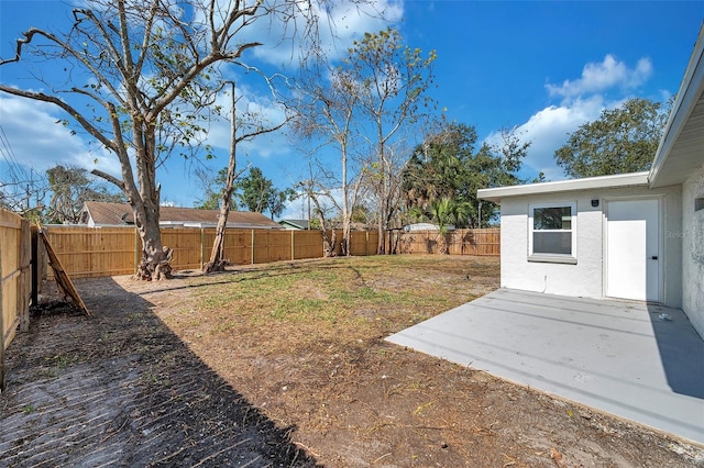 view of yard featuring a patio