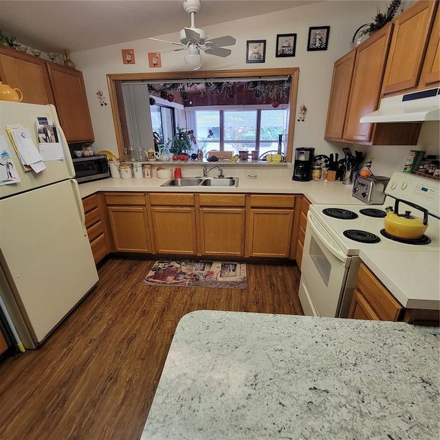 kitchen featuring vaulted ceiling, dark hardwood / wood-style floors, sink, ceiling fan, and white appliances