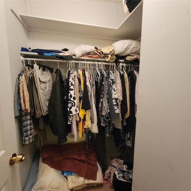 view of walk in closet